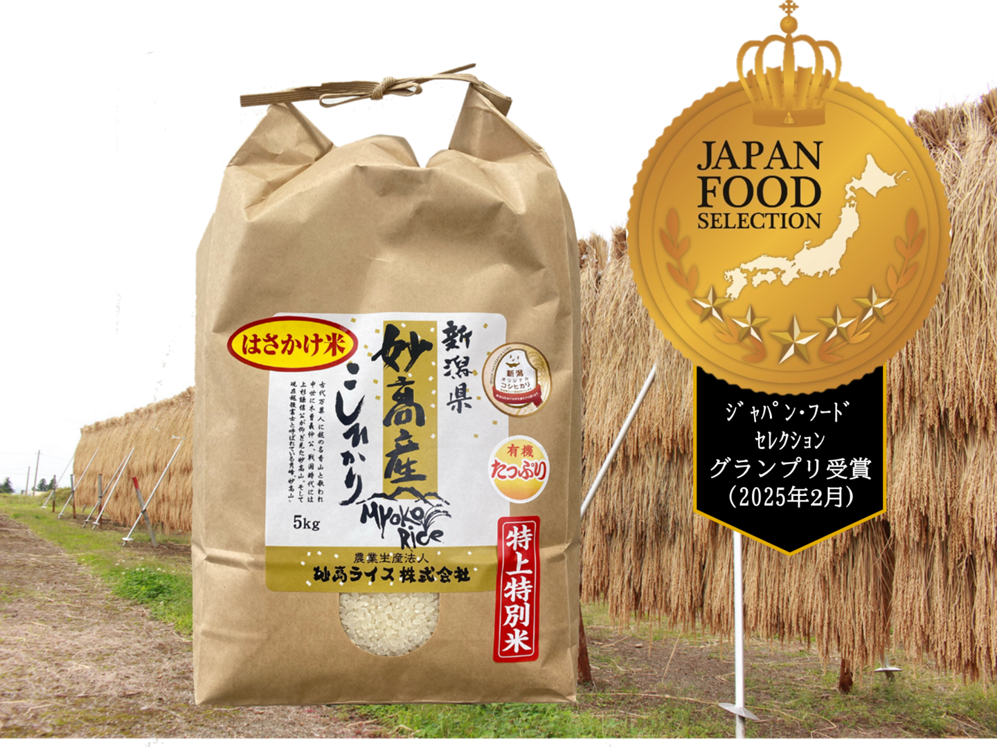 令和8年新米】妙高産コシヒカリはさかけ米【玄米】（5㎏）：新潟県産の
