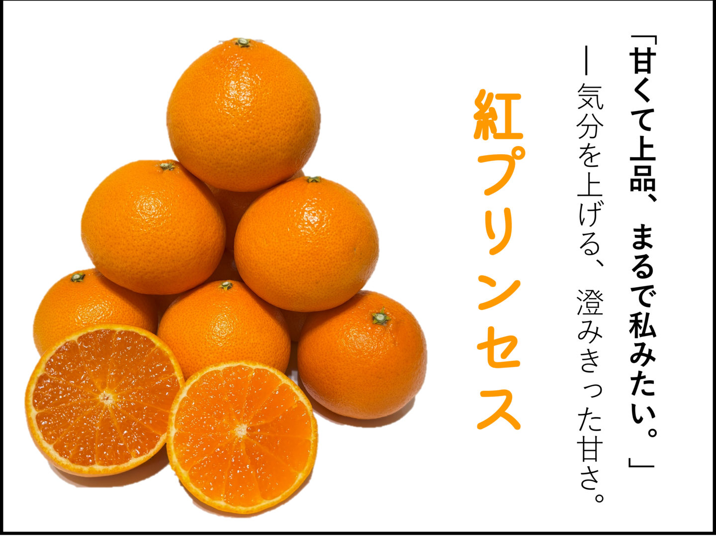 新品種『紅プリンセス（品種：愛媛果試第48号）』愛媛県産 柑橘