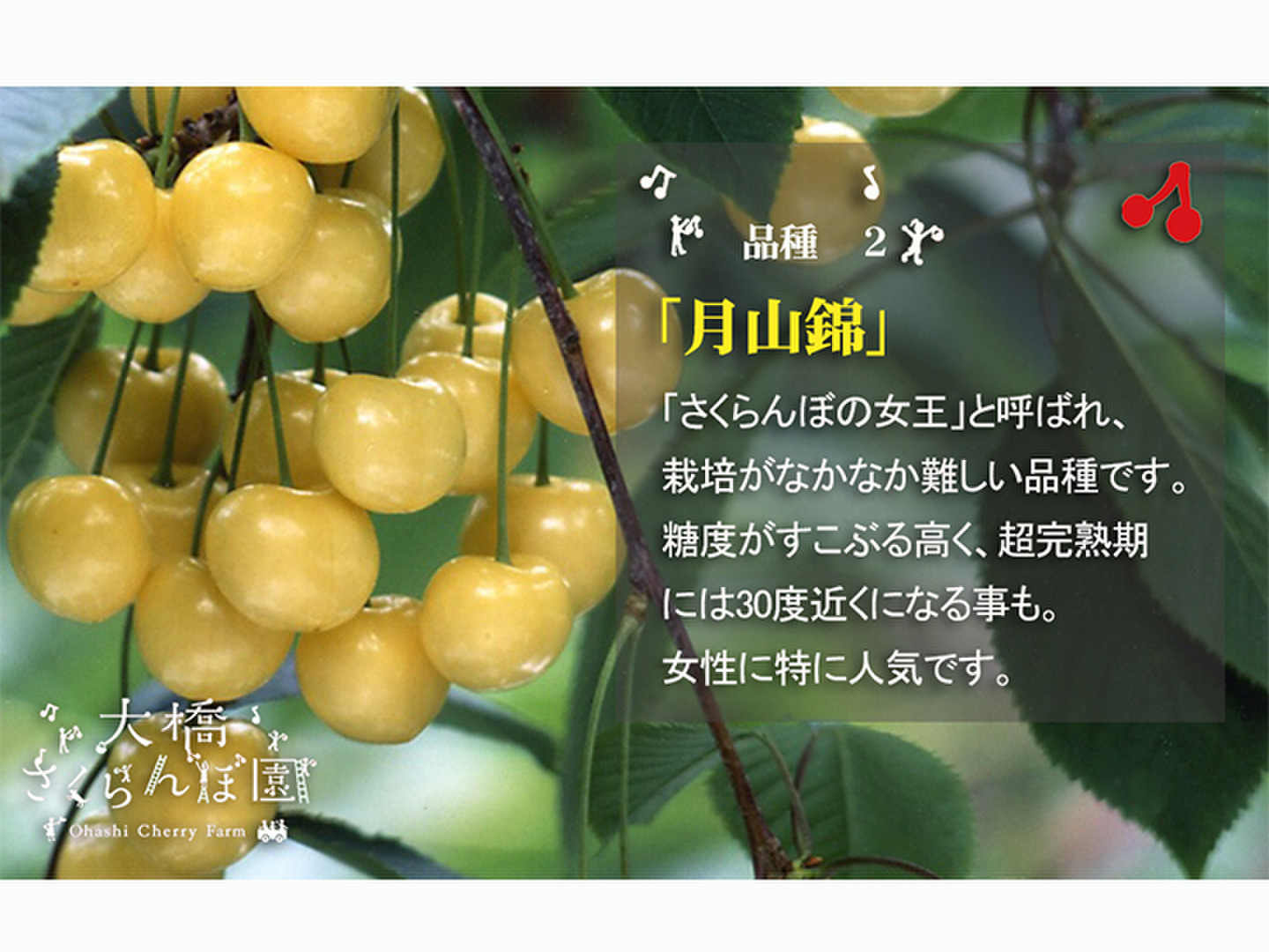 50分の1，2階建て内外模型No.92『スイーツ・さくらんぼ10』