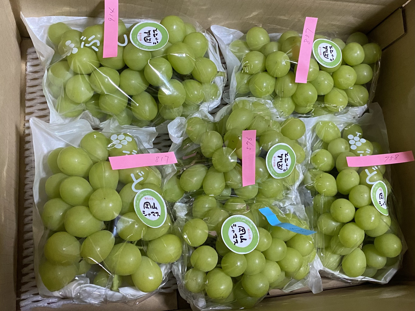 岡山シャマス2.0kg：岡山県産のシャインマスカット｜食べチョク