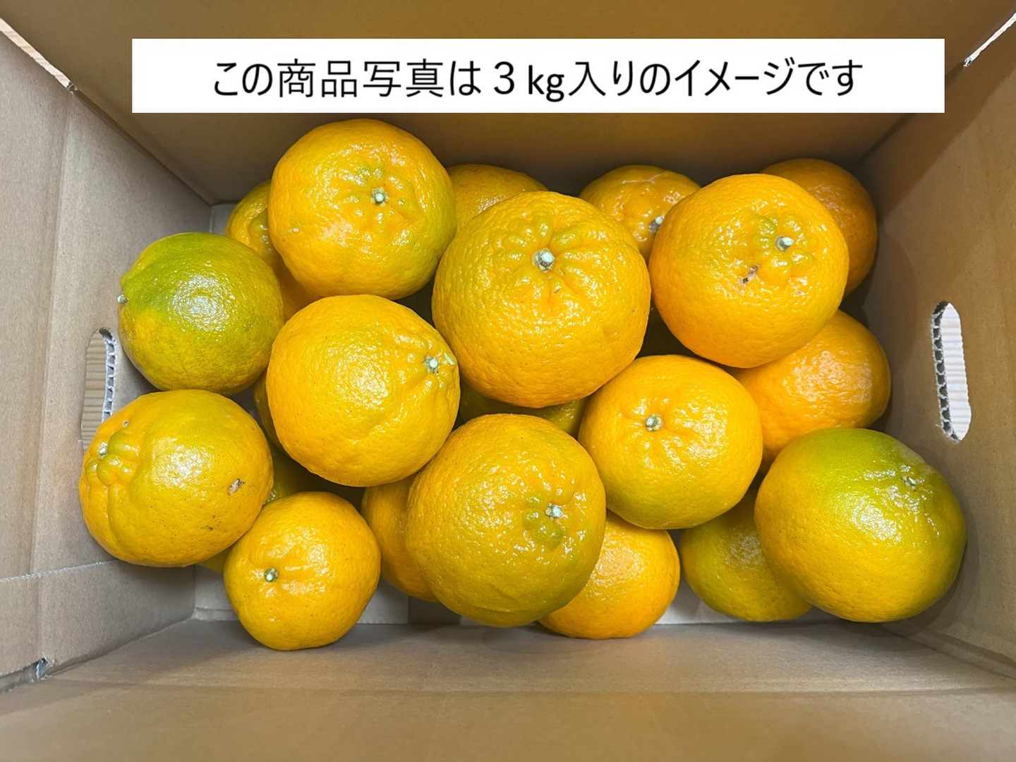 商品画像：みかん猫様専用arwinポータブル 飛び付き 4