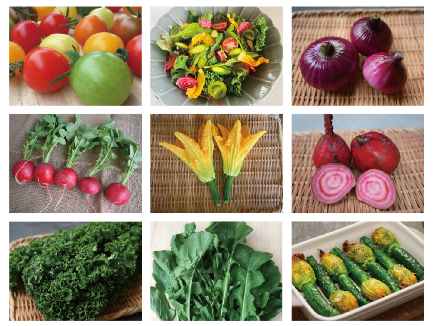 月・金曜発送便】ココロ躍る🌈おまかせ野菜セット【さいたま市産