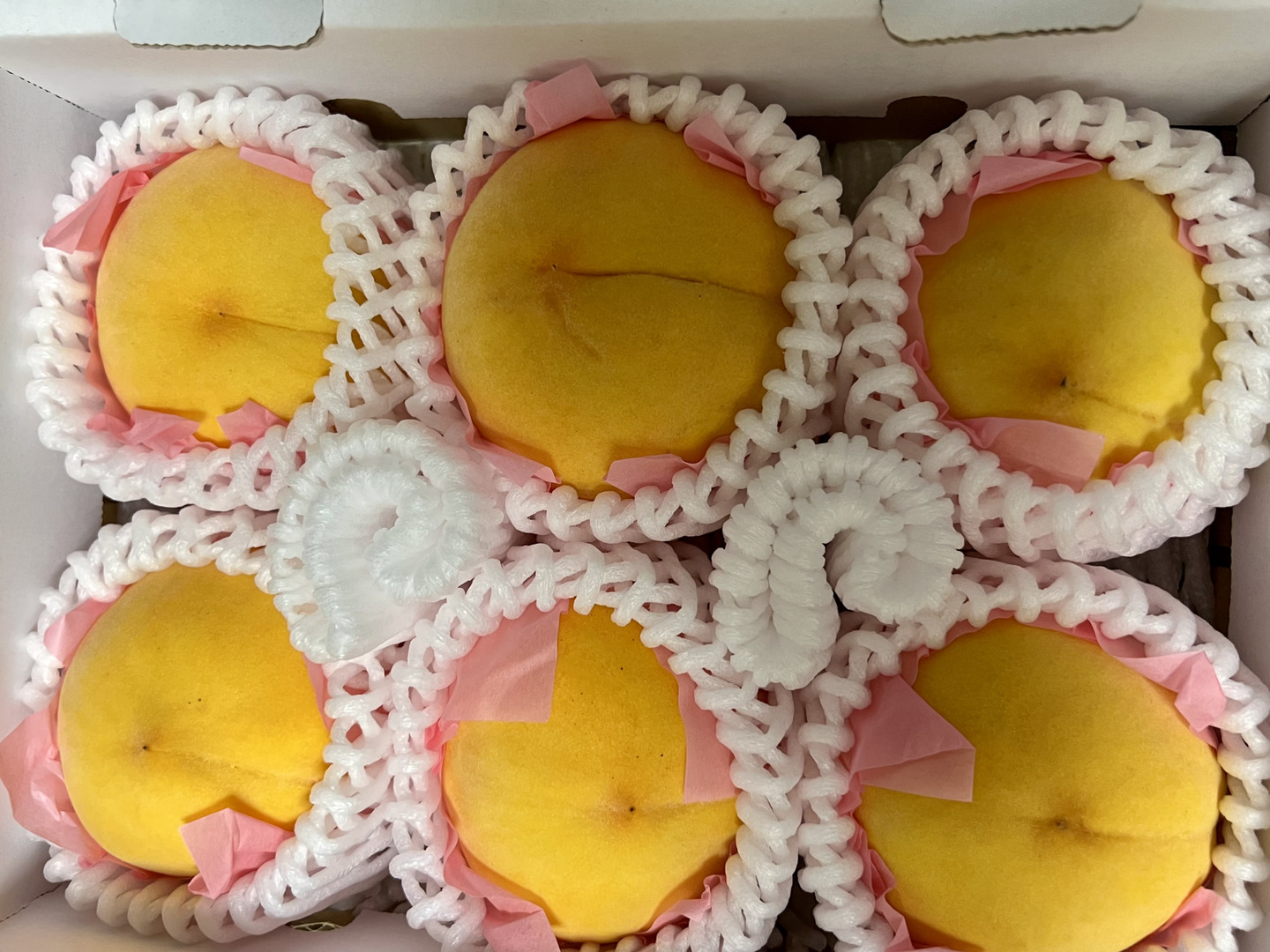 【送料無料　ご家庭用】岡山産　黄金桃　約3ｋｇｘ2箱（9～15玉入） f46d5da7f8-1718777120