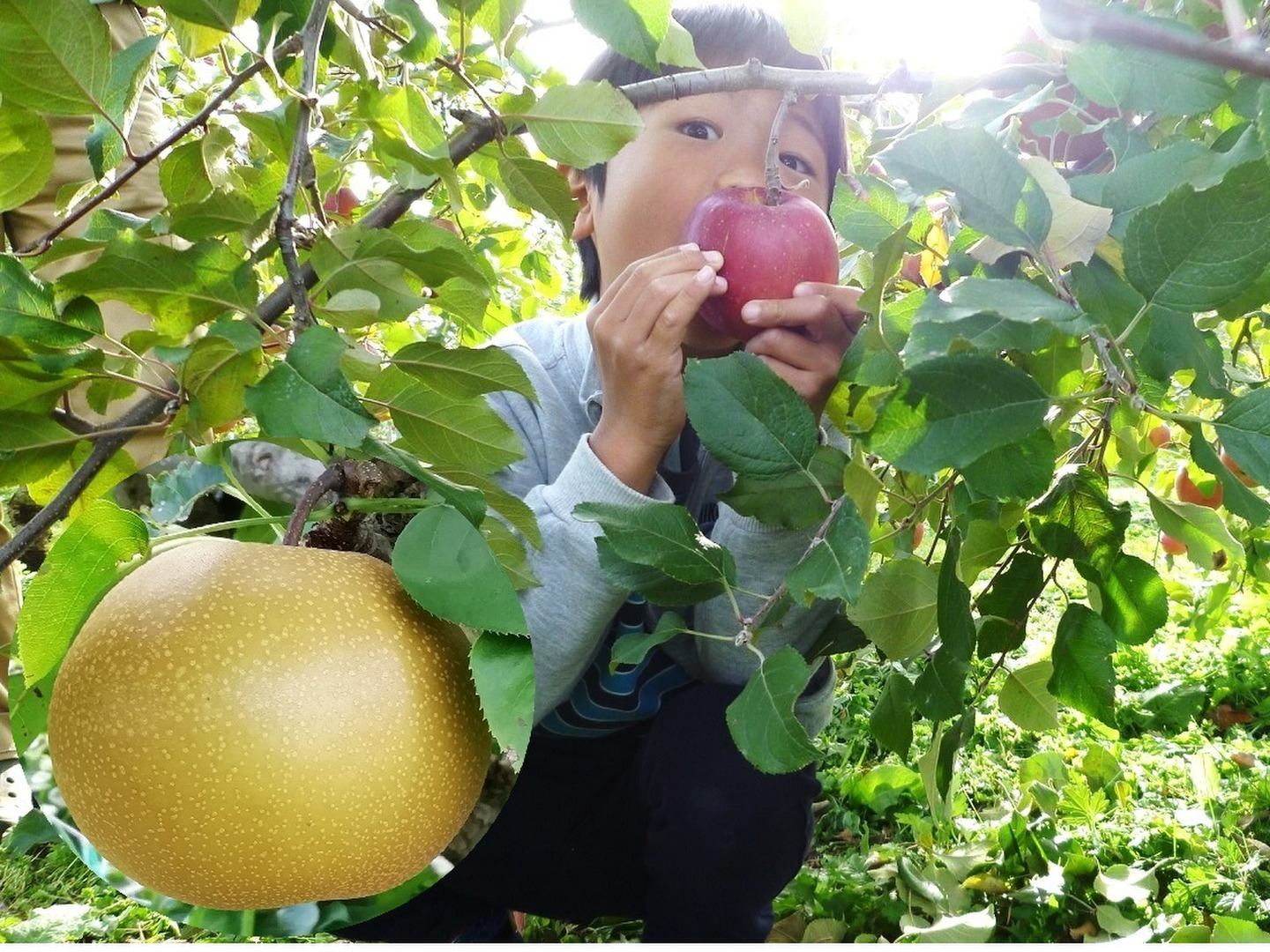 6154fe3a8a2a8472c9ac813f86d9ab