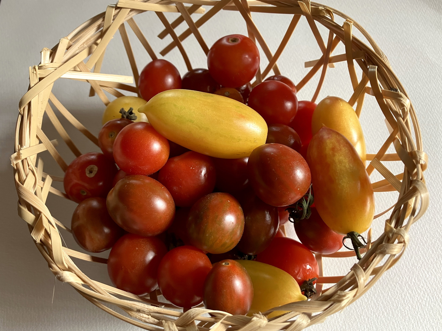 トマト 木で赤く実った固定種の完熟ミニトマト 500g：大分県産のトマト｜食べ