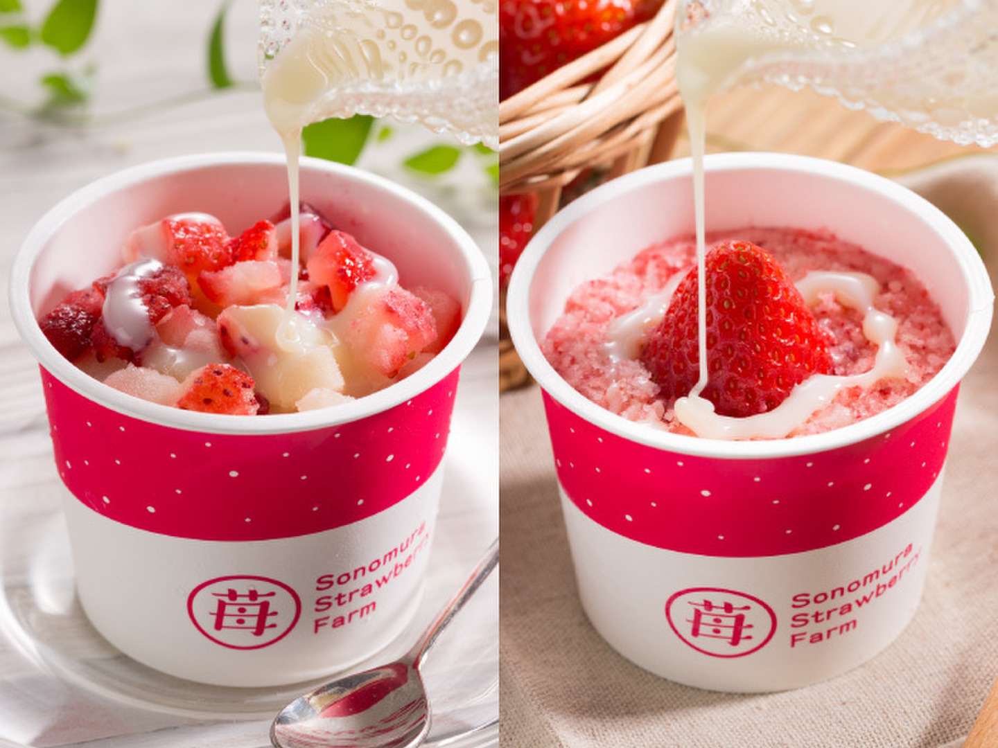 【数量限定】旧モデル在庫処分セールを開催します！ ☆両方食べたい人に☆「ぷち苺」「さら苺」3x3カップ 練乳付き フルーツ
