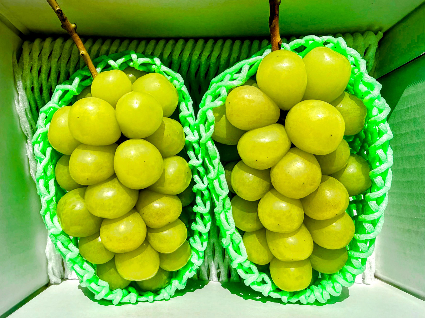 希少品種！マスカサーティーン♡蜜のように甘～い！香り豊かで