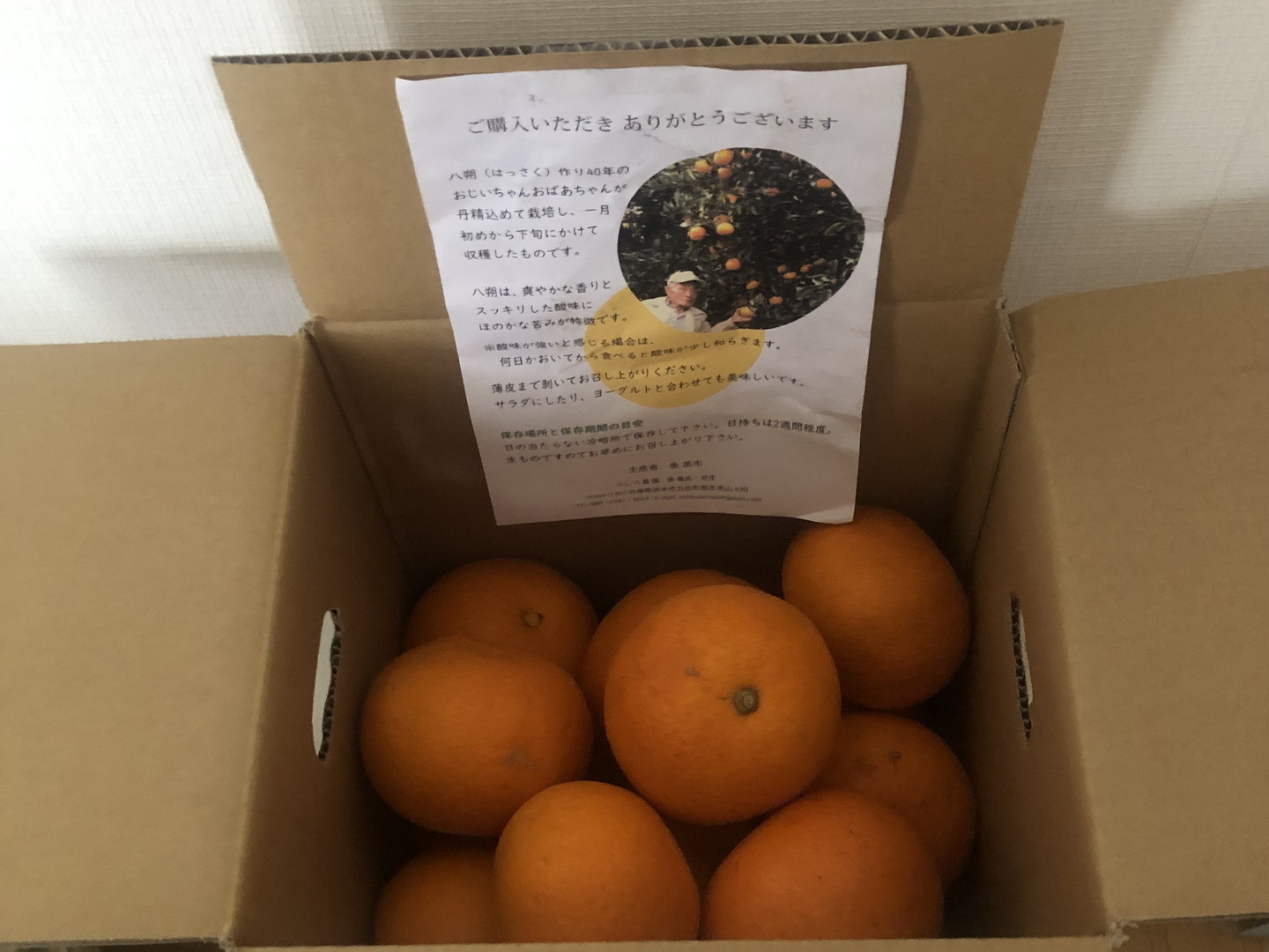激安スーパーの“売上対決” ついクセになる甘酸っぱさ淡路島うしろ農園の八朔（5kg）：兵庫 果物