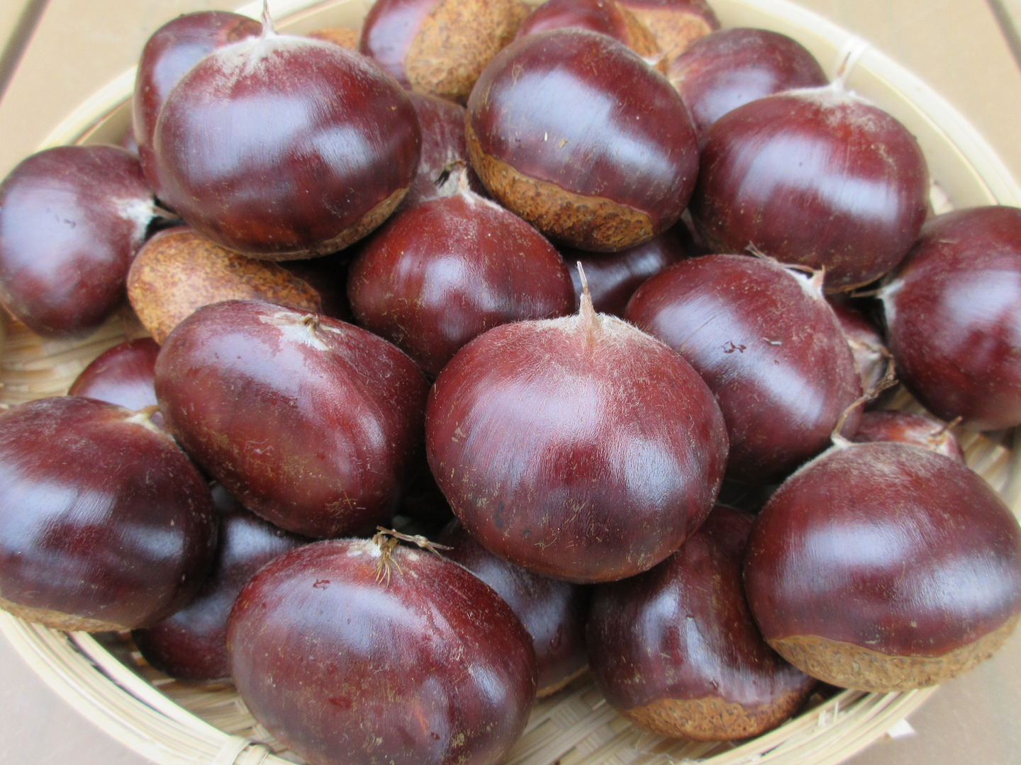 897861463d30b558d19af35048402f