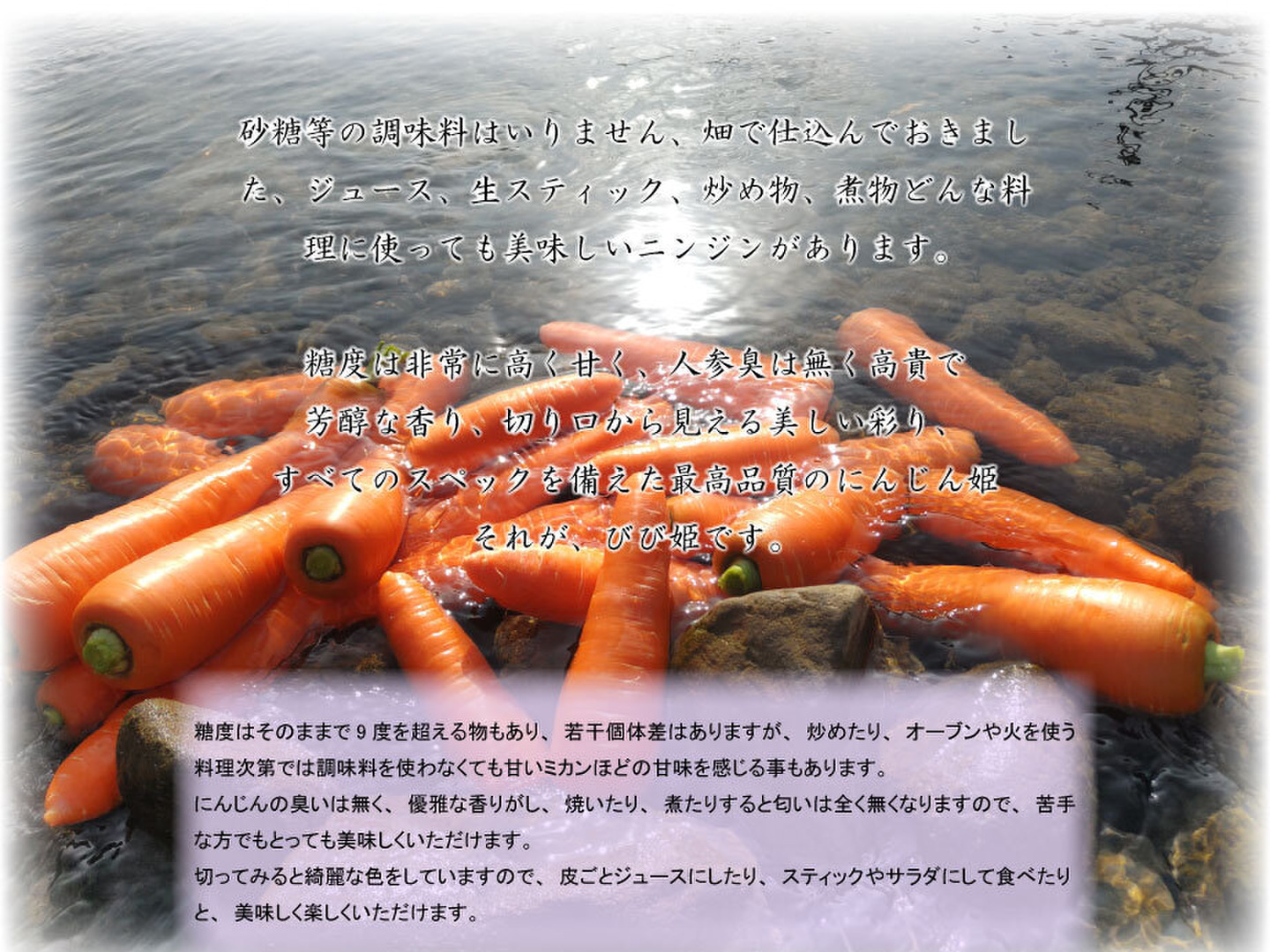 【オープニングセール】 59a5d48e32a2d68617db674753b3d5 野菜