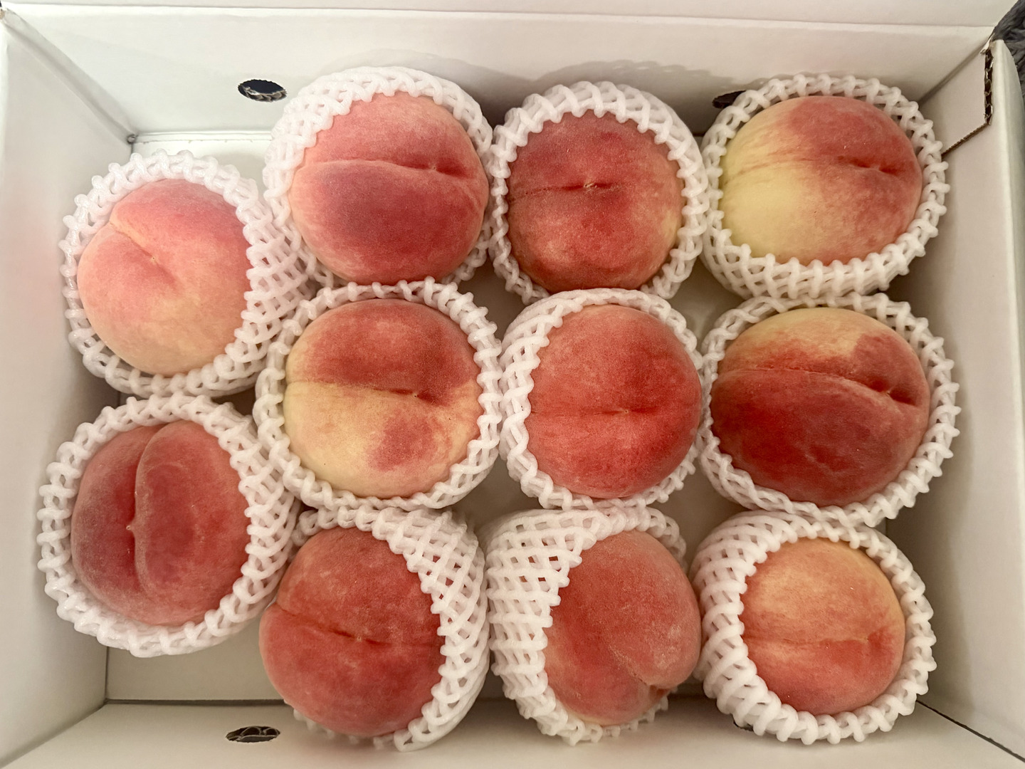 玉うさぎ3kg🍑数量限定🍑希少種&激レア桃🍑朝採り🍑【自宅用】訳あり品