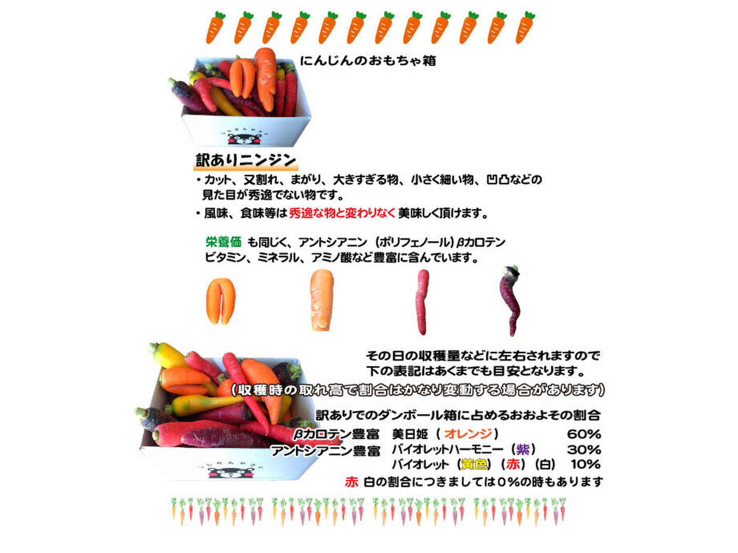 熊本県芦北産甘いフルーツにんじん「食べ比べ」アロマレッド【訳あり