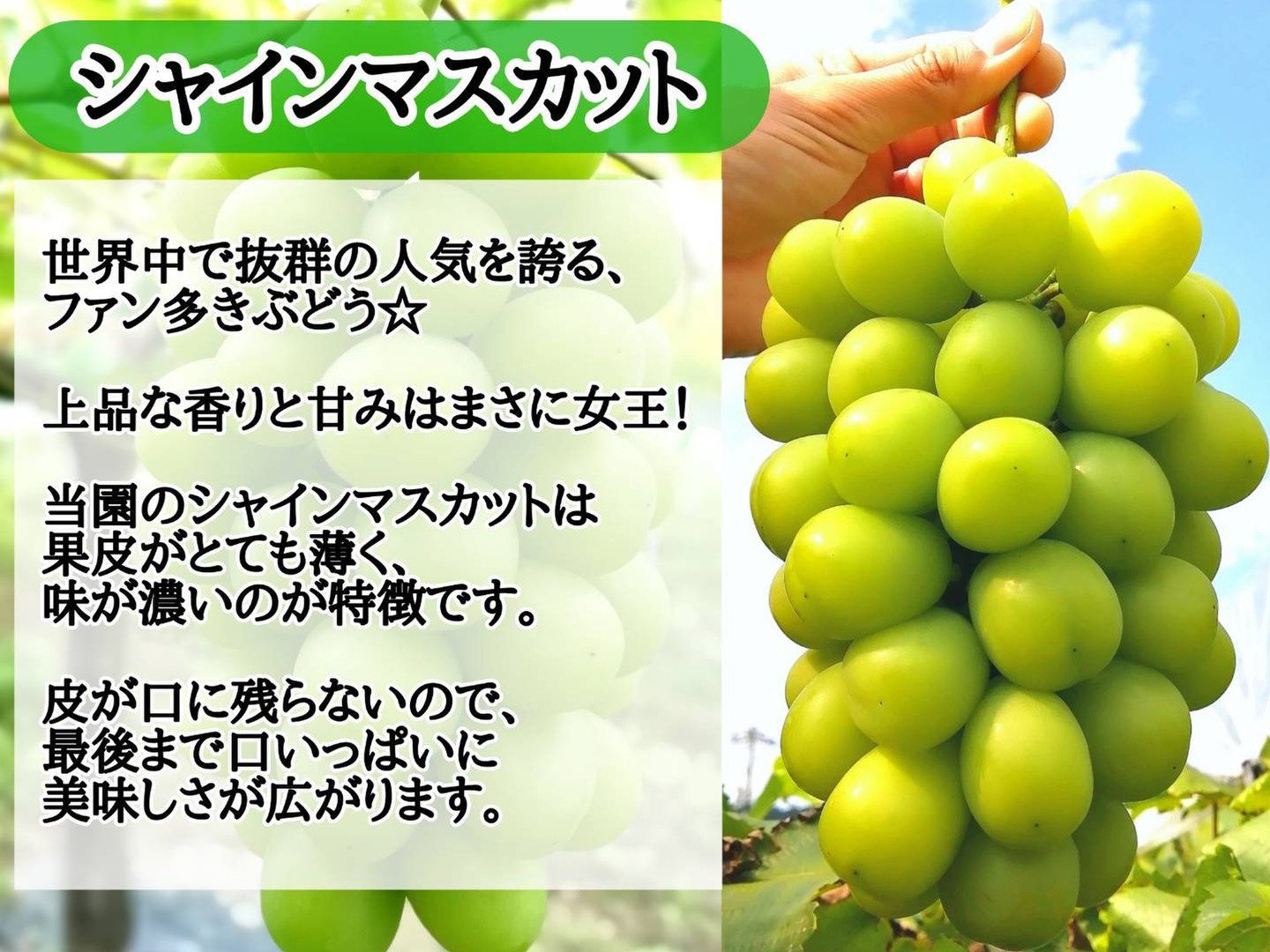f9ce96467b63f14ec3867179061bfc