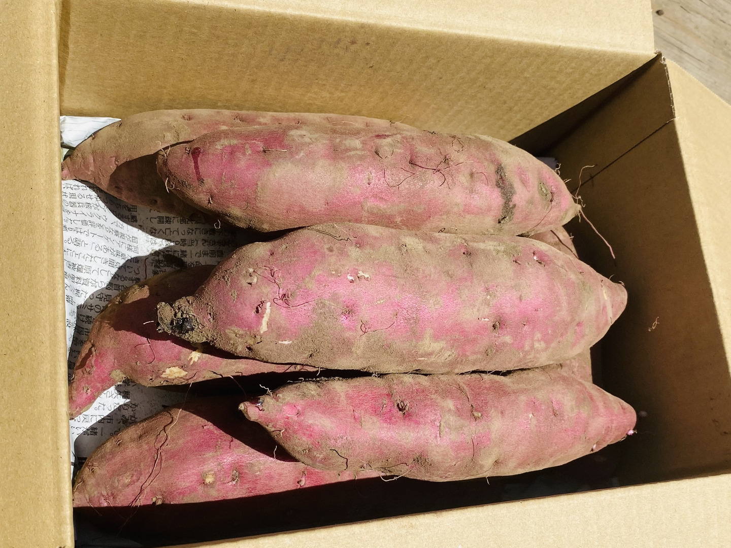 2024年レディースファッション福袋 紅はるか（2kg）熟成1ヵ月超えでお届け！(茨城県産 野菜