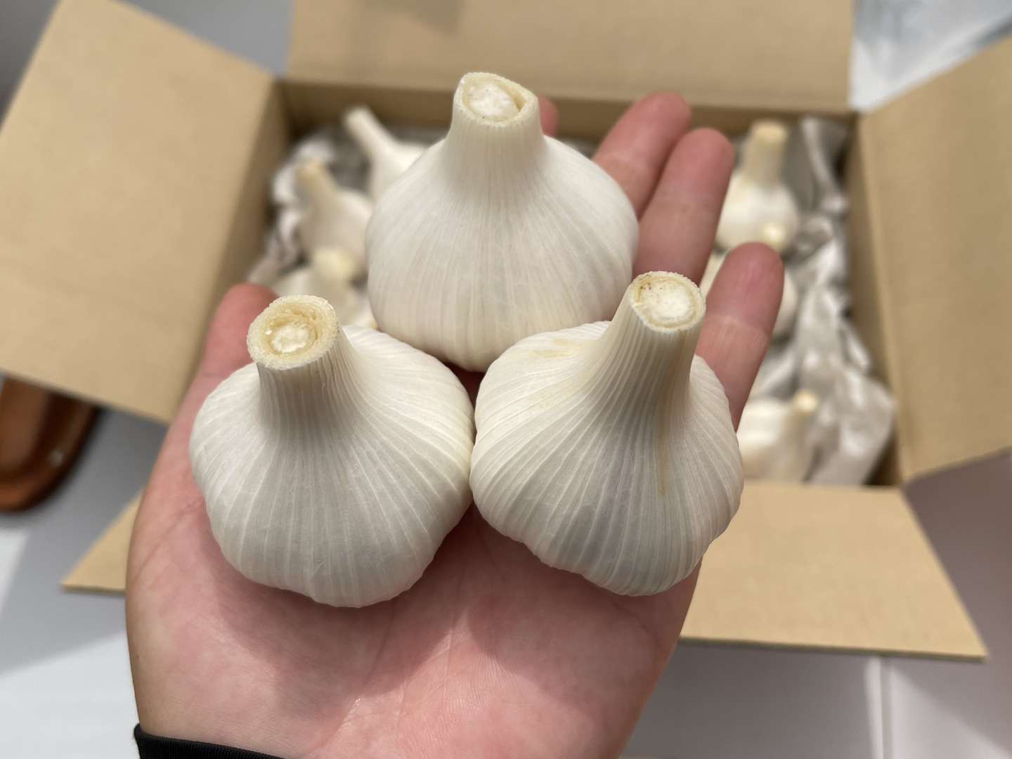 農薬・化学肥料不使用♪『新ニンニク』ニューホワイト6片1kg（約20玉