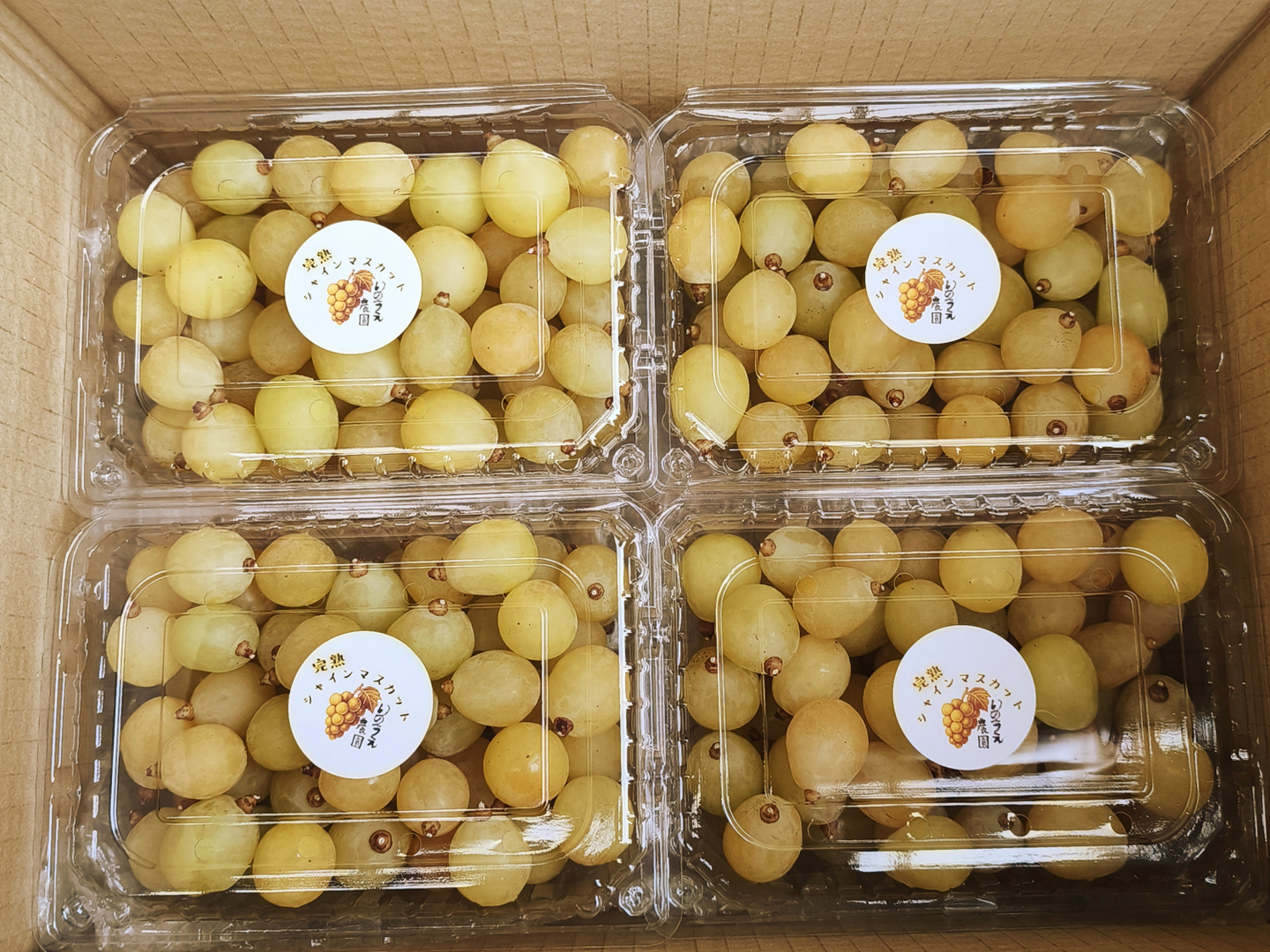 岡山県産、完熟！黄金シャインマスカット2kg(粒)500g×4パック：岡山県