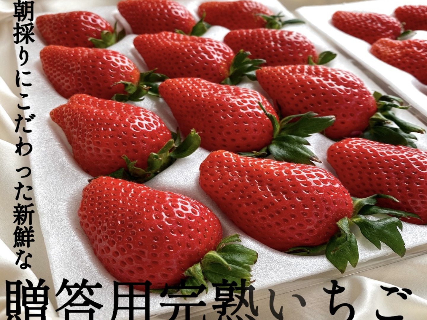 ⭐︎土耕栽培⭐︎脱サラ新規就農【最高金賞受賞含む全賞受賞