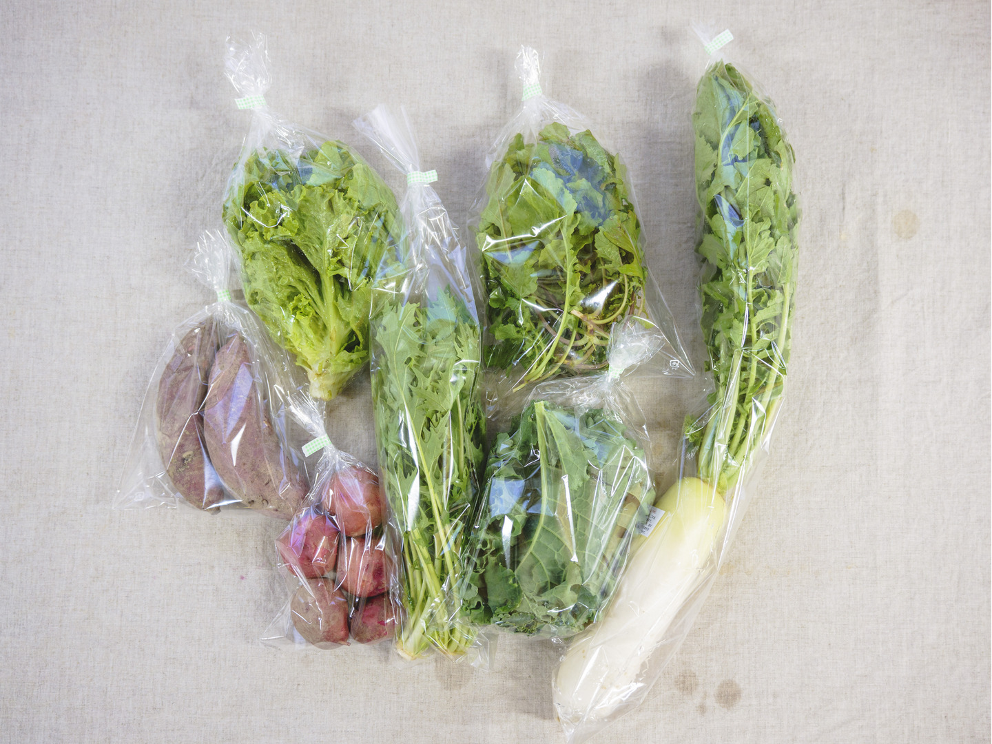 有機野菜 Ｓセット 有機JAS認証 しあわせ野菜畑：静岡県産の野菜セット｜食べチョク｜産地直送(産直)お取り寄せ通販 - 農家・漁師から旬の食材を直送