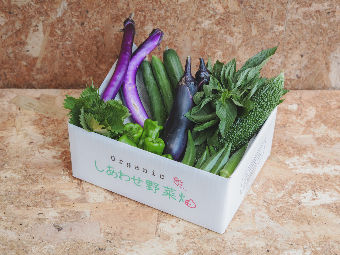 N ◎プロフご確認、、、さん専用有機野菜セット10品＋お米４Kg+デジマ２Kg 旬のお野菜セット(S)[1回お届け] | 坂ノ途中 | サステナブルな