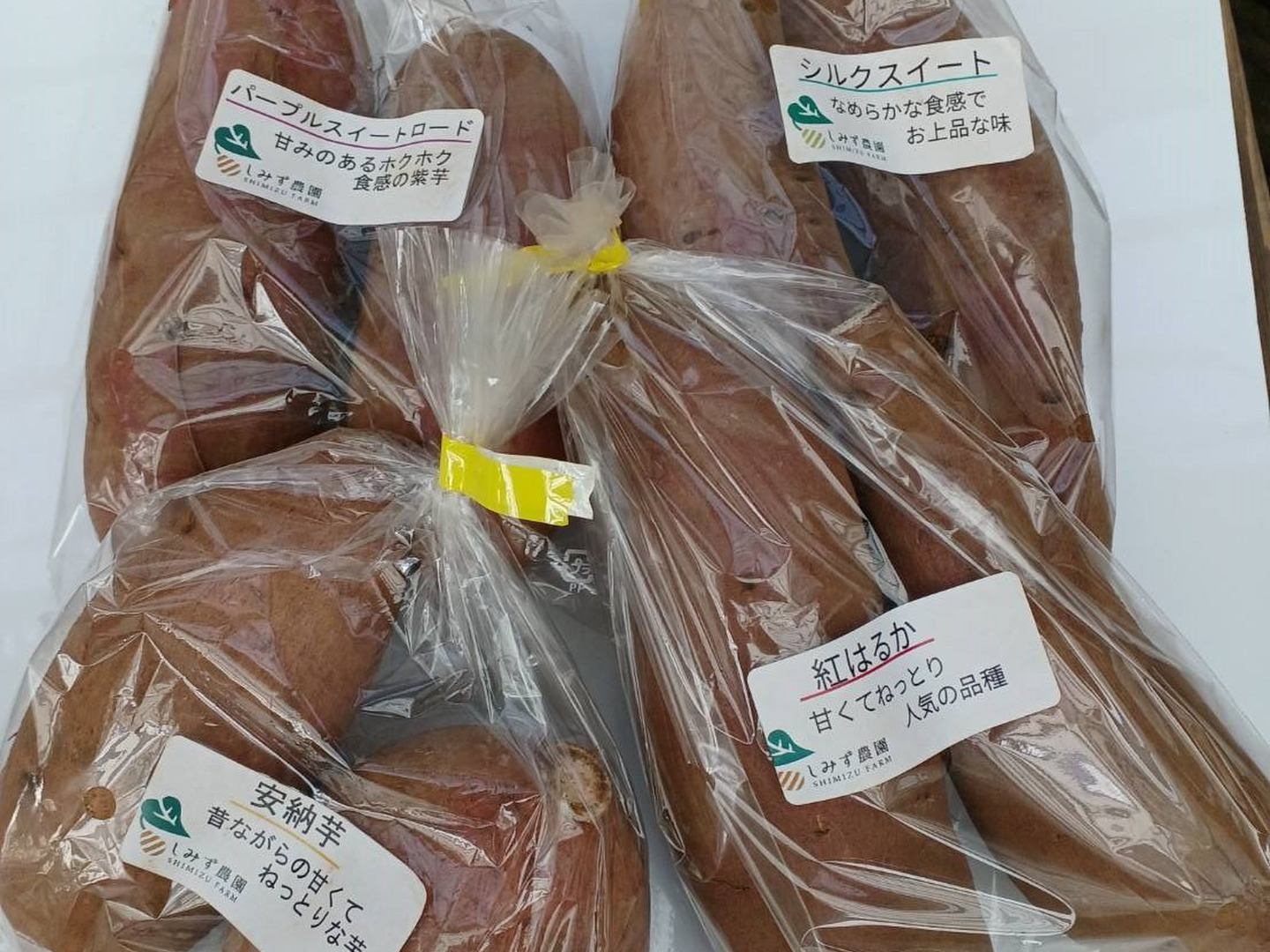 安心・安全な、食べくらべシリーズ　＜さつまいも＞