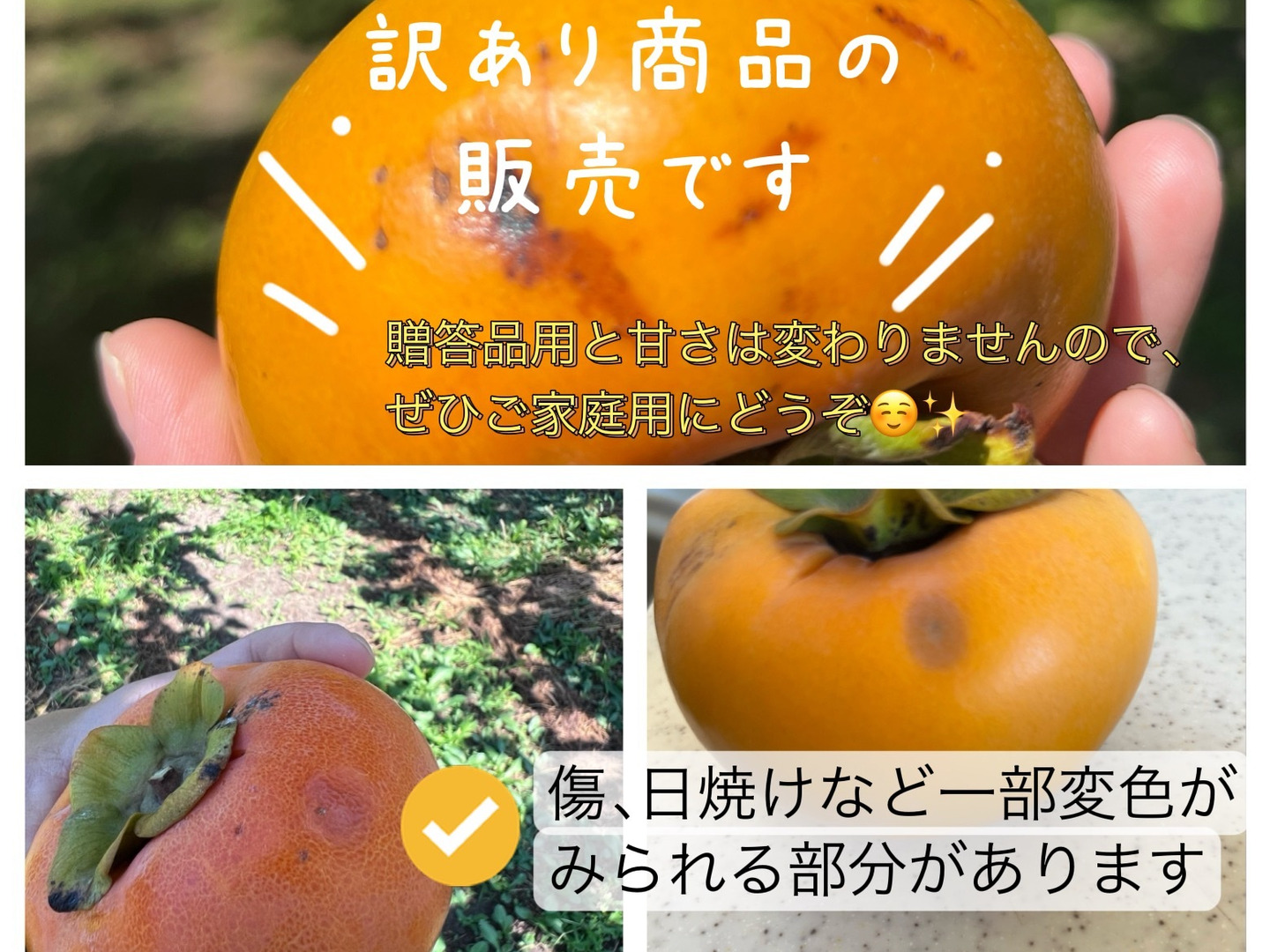 濃厚な甘み！】石和の富有柿（種なし・ご家庭用・4Kg）：山梨県