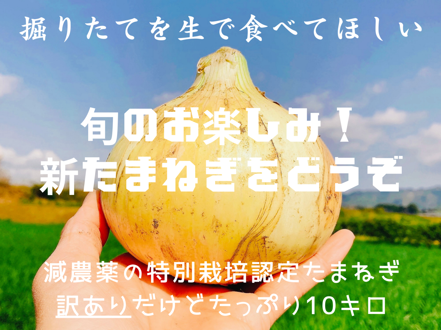 1438877251_1