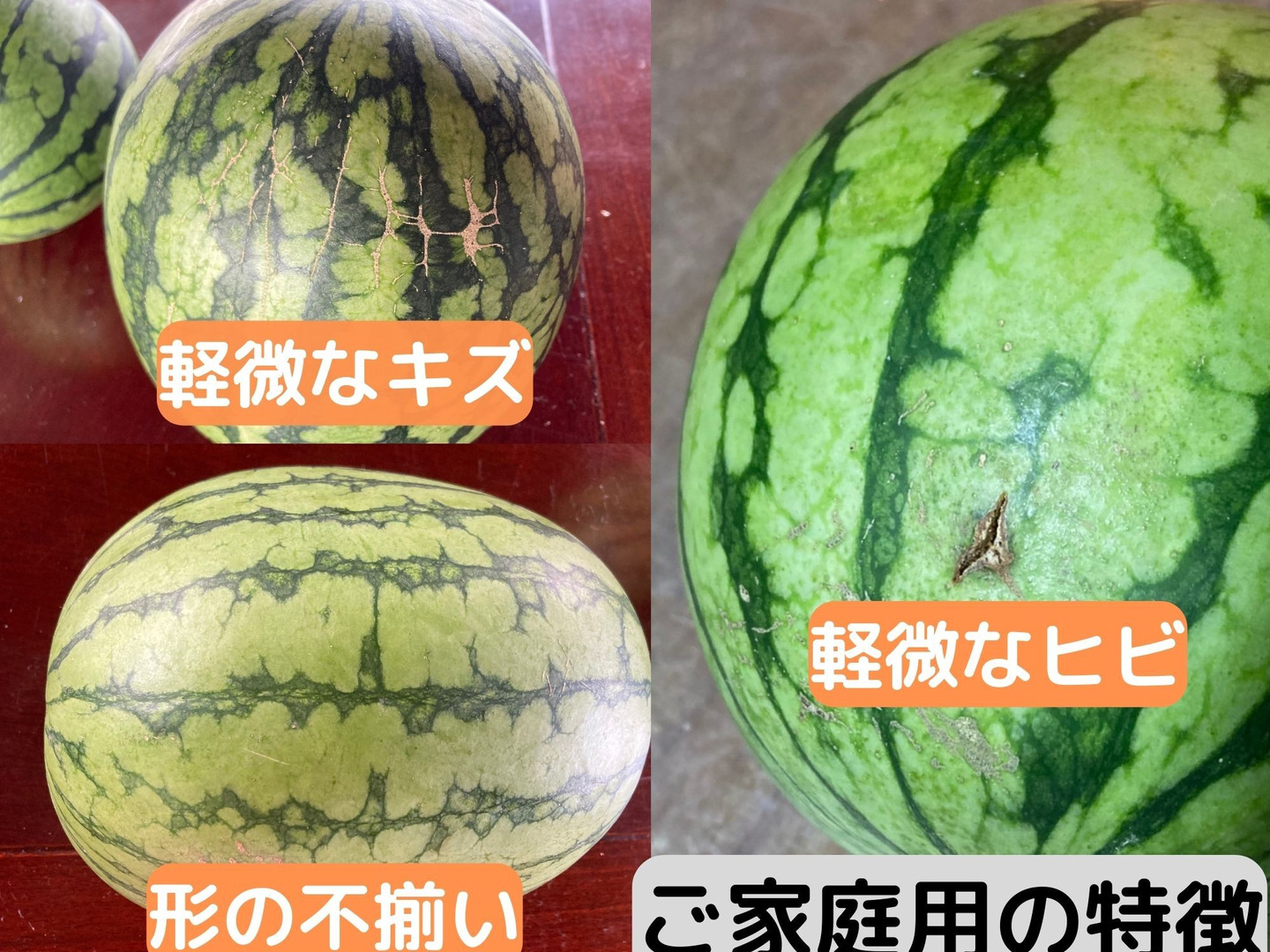 訳ありピノガール1玉 【タネごと食べれるシャキシャキ小玉すいか