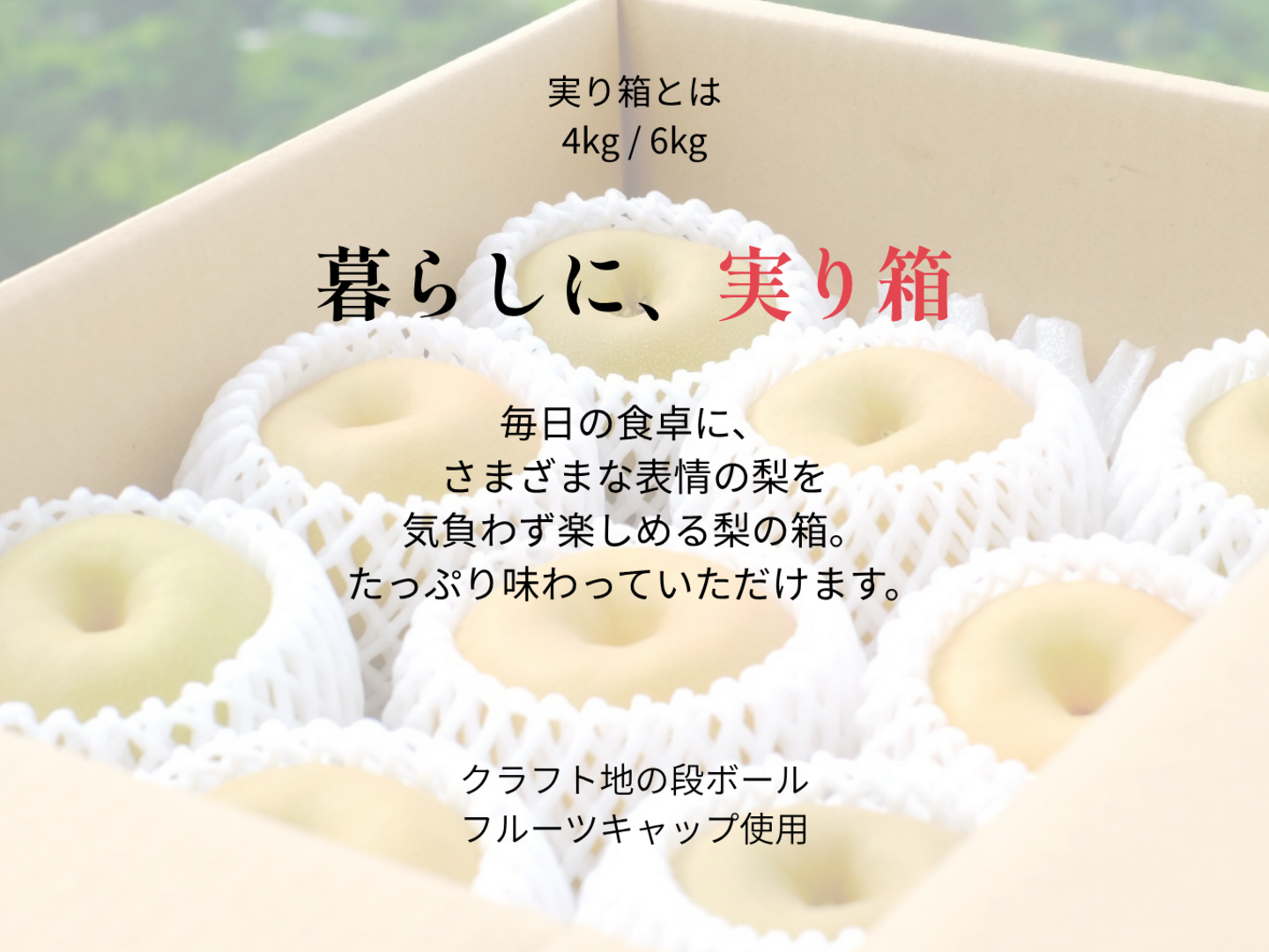 ★限定値下げ★たかの友梨ウルトラID2箱セット(6本) 新高｜実り箱・6kg｜秋を感じて食べる梨・分け合うひととき｜10月上旬