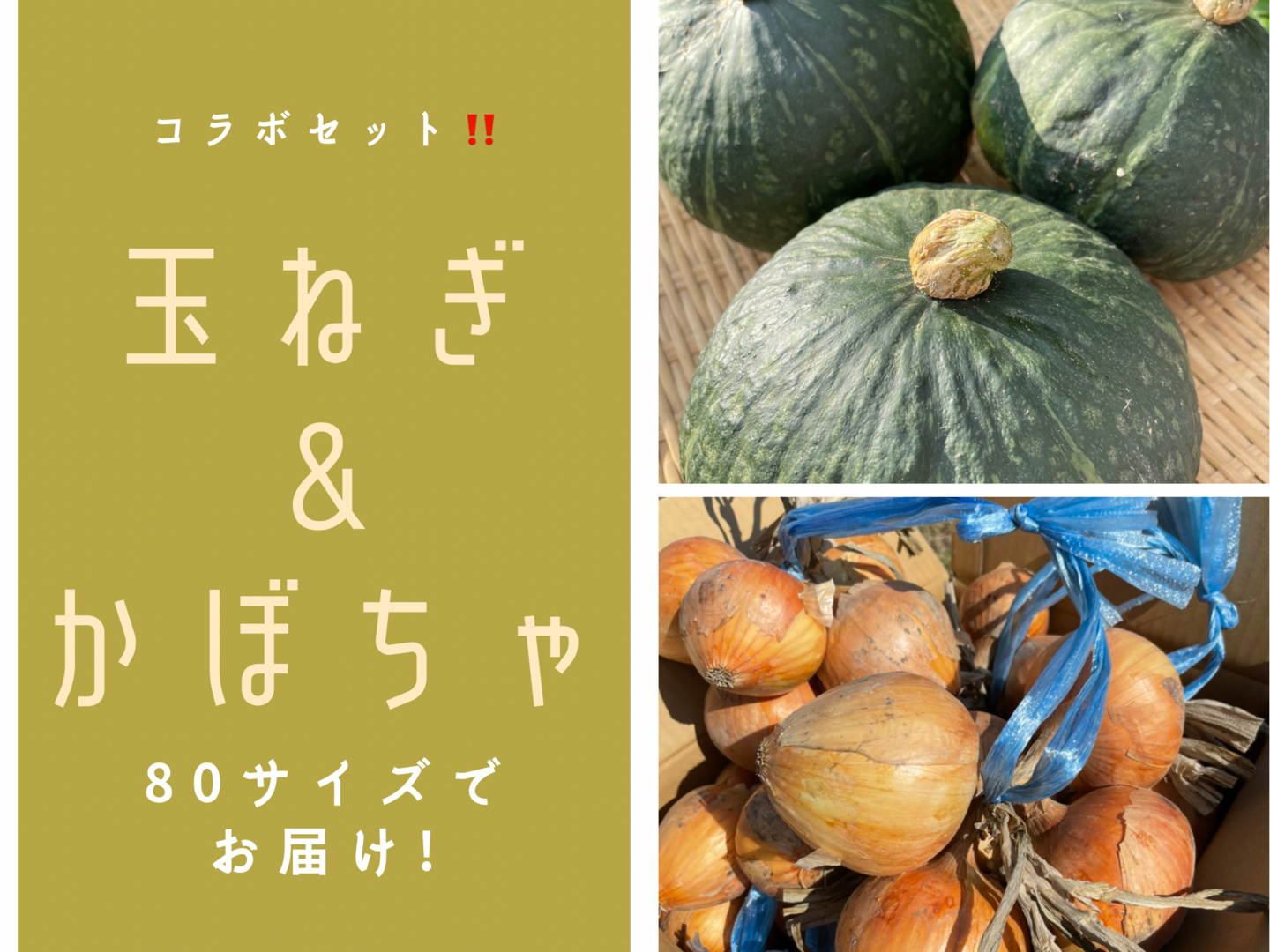 かぼちゃと玉ねぎの野菜の旨みセット‼️：兵庫県産の野菜セット｜食べ