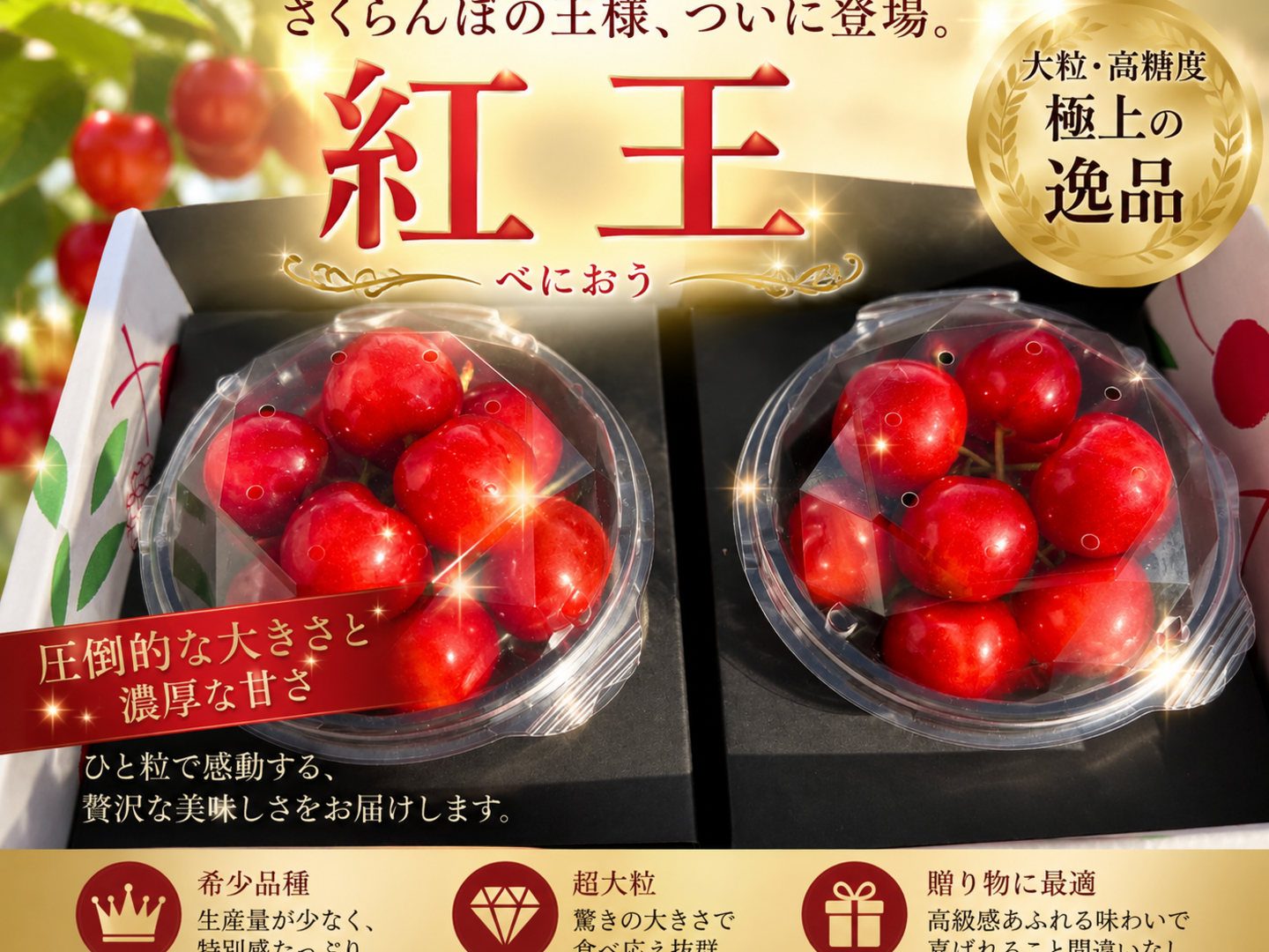 紅さま専用　(〜8/9) 数量限定※新品種 紅王登場！！！山形県産 【500円サイズ】 2L〜5L 父の