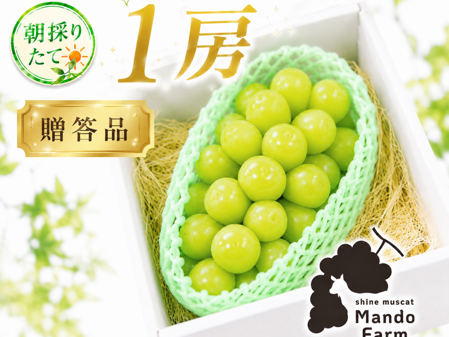 朝採れシャインマスカット‼️専用ページ 先行予約】【 贈答用 】朝採れ パリッと食感の高糖度タネ無しシャイン