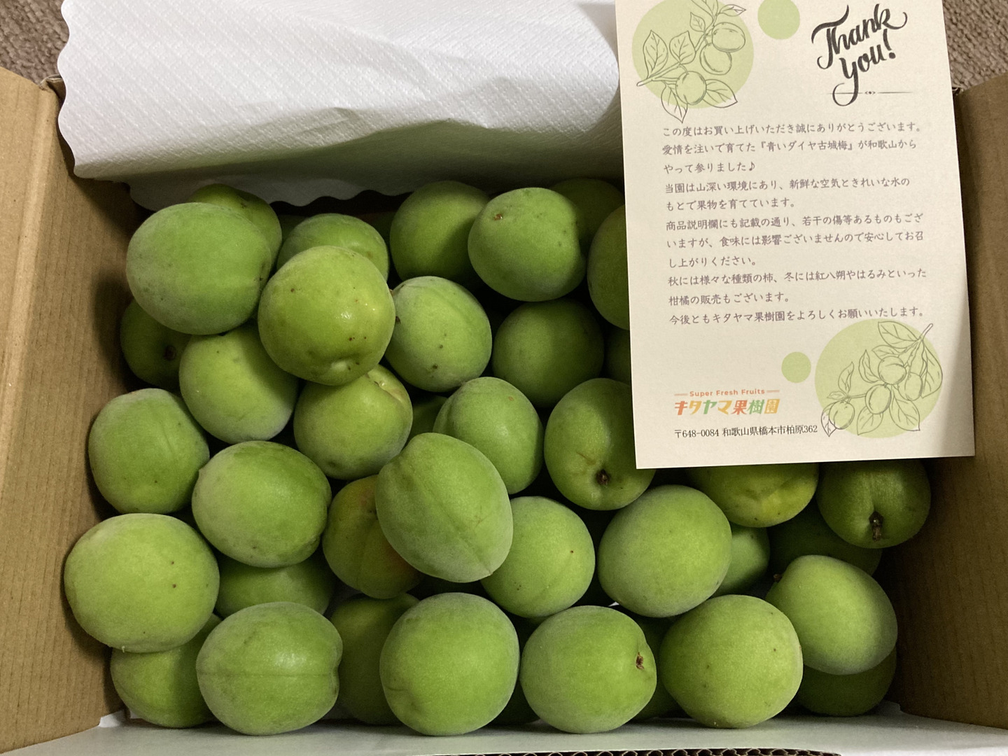 送料500円引き】 梅酒・梅シロップに最適！ 和歌山県産希少品種