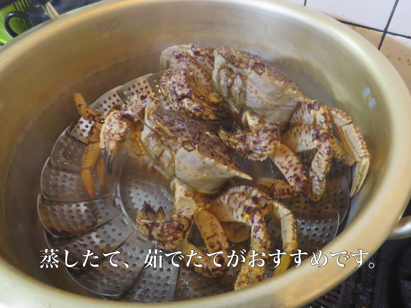 クリガニ　オス10キロ詰め kurigani3-450x290.jpg