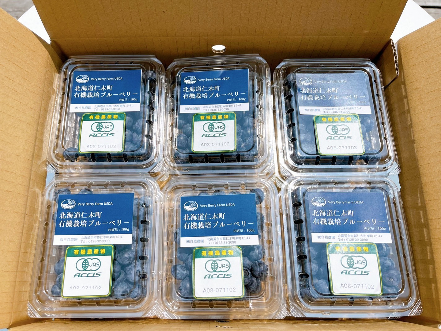 有機JAS】摘みたて生果実！オーガニックブルーベリー／100g×12