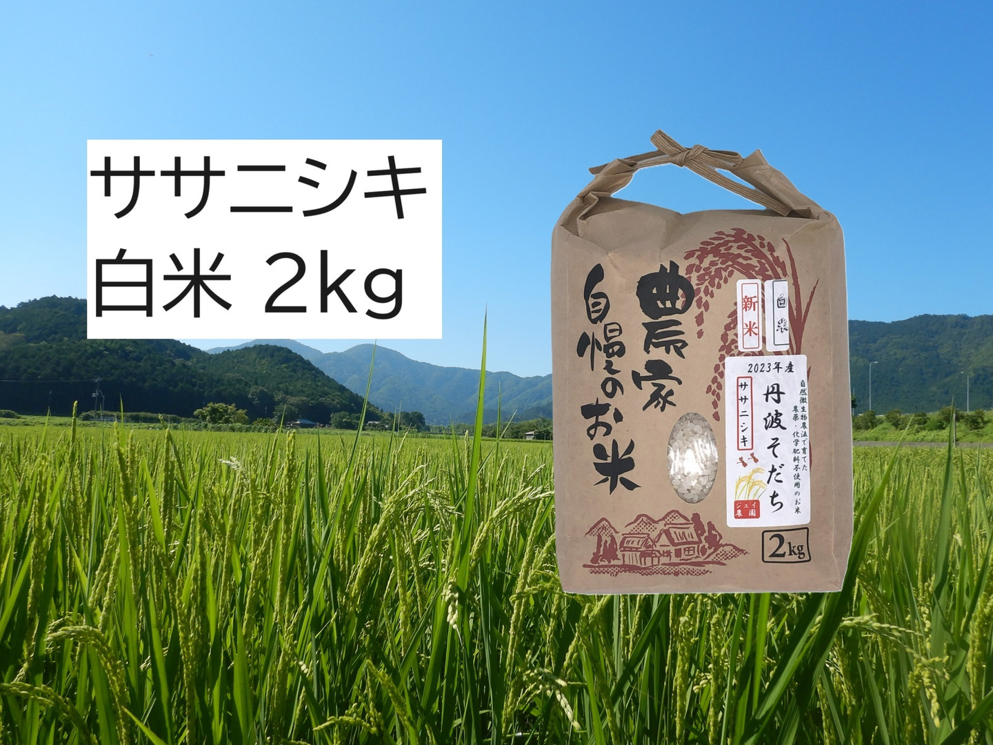 2024年産】自然栽培米『ササニシキ』白米2kg:兵庫県産の 2024年産】自然栽培米『ササニシキ』白米2kg:兵庫県産の