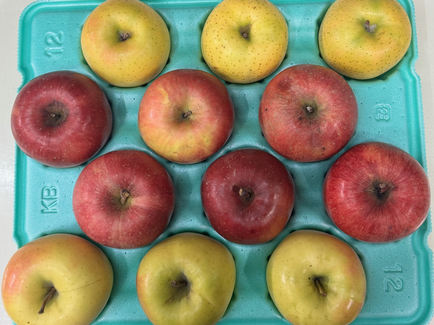 【高額売筋】 ランダム・バラエティ限定品】サンふじ🍎王林🍏ぐんま名月💛家庭 果物
