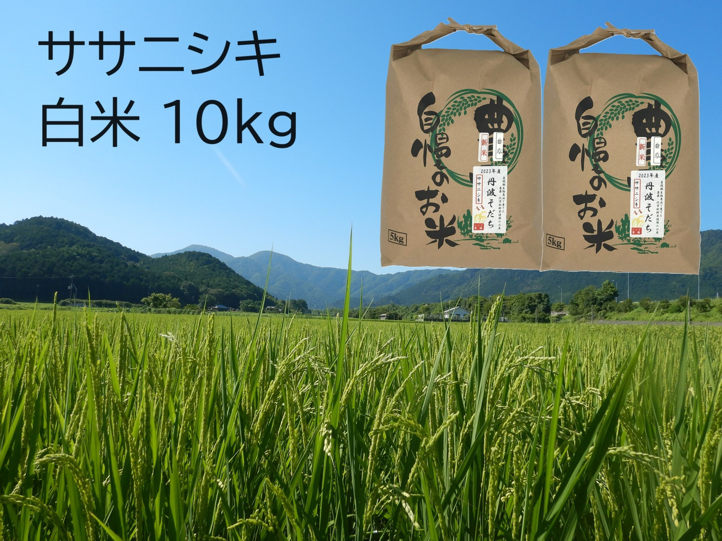 2024年産】自然栽培米『ササニシキ』白米10kg：兵庫県産のササニシキ 