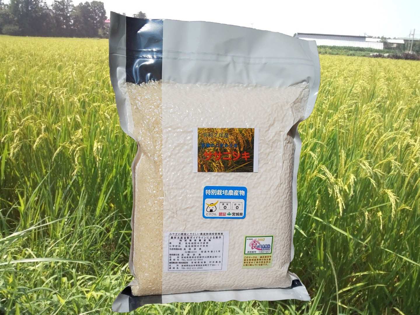 EM自然農法米】宮城のササニシキ精米2kg（真空パック）分搗き