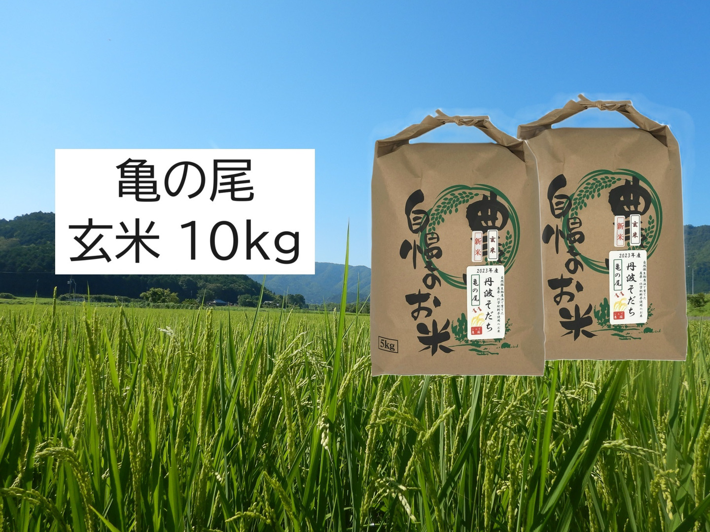 大人気新品セール ブ 自然栽培のお米『亀の尾』玄米10kg：兵庫県産の亀の尾｜食べ 米・雑穀・粉類