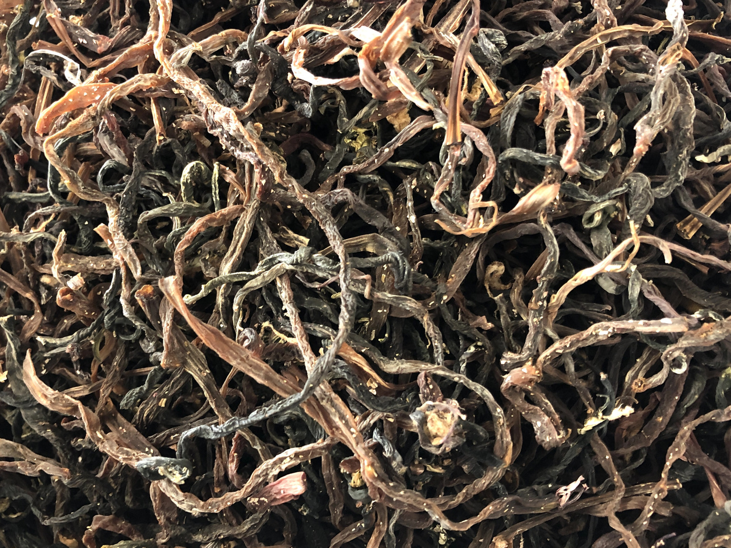 【即出荷】 4fe2f85ac6cecf964f178b99b7e3db その他 加工食品