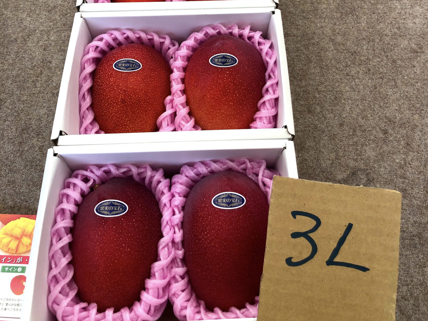 果汁たっぷり！糖度15度超えの太陽マンゴー(3Lサイズ2玉で900g