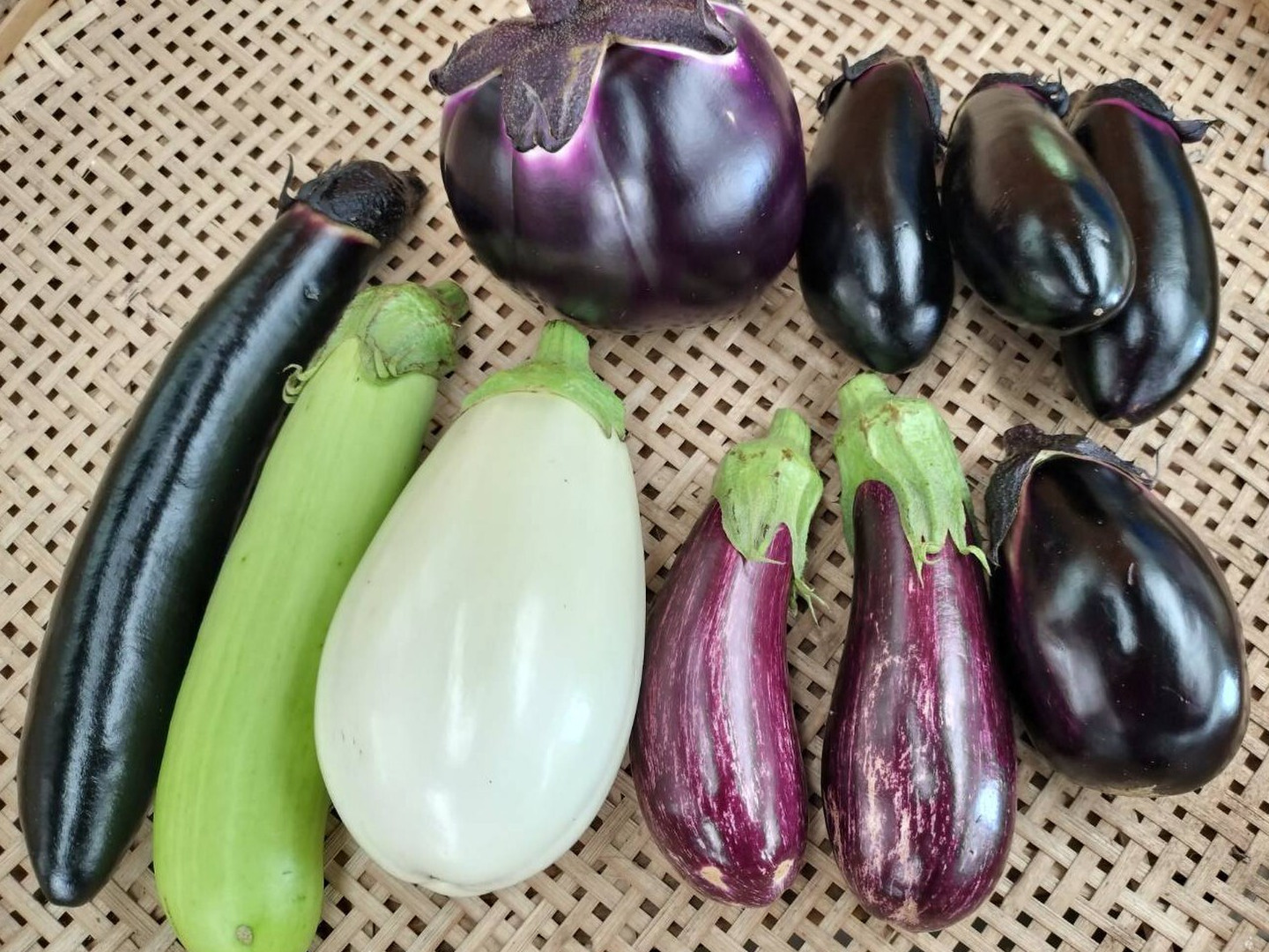 奈良からお届け～いろんなナス食べ比べセット（計10本）：奈良県産の絹