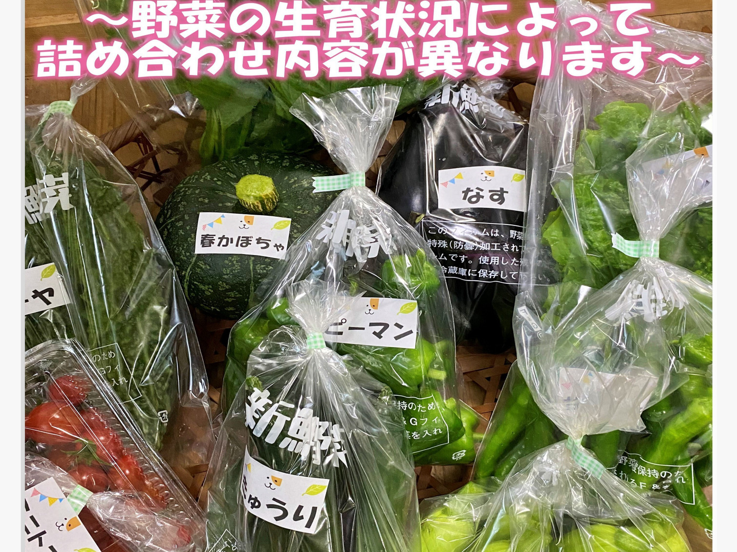 数量限定】お得いっぱい！夏野菜詰め合わせ箱☆🥗🍠🥦＋ながさき黄金