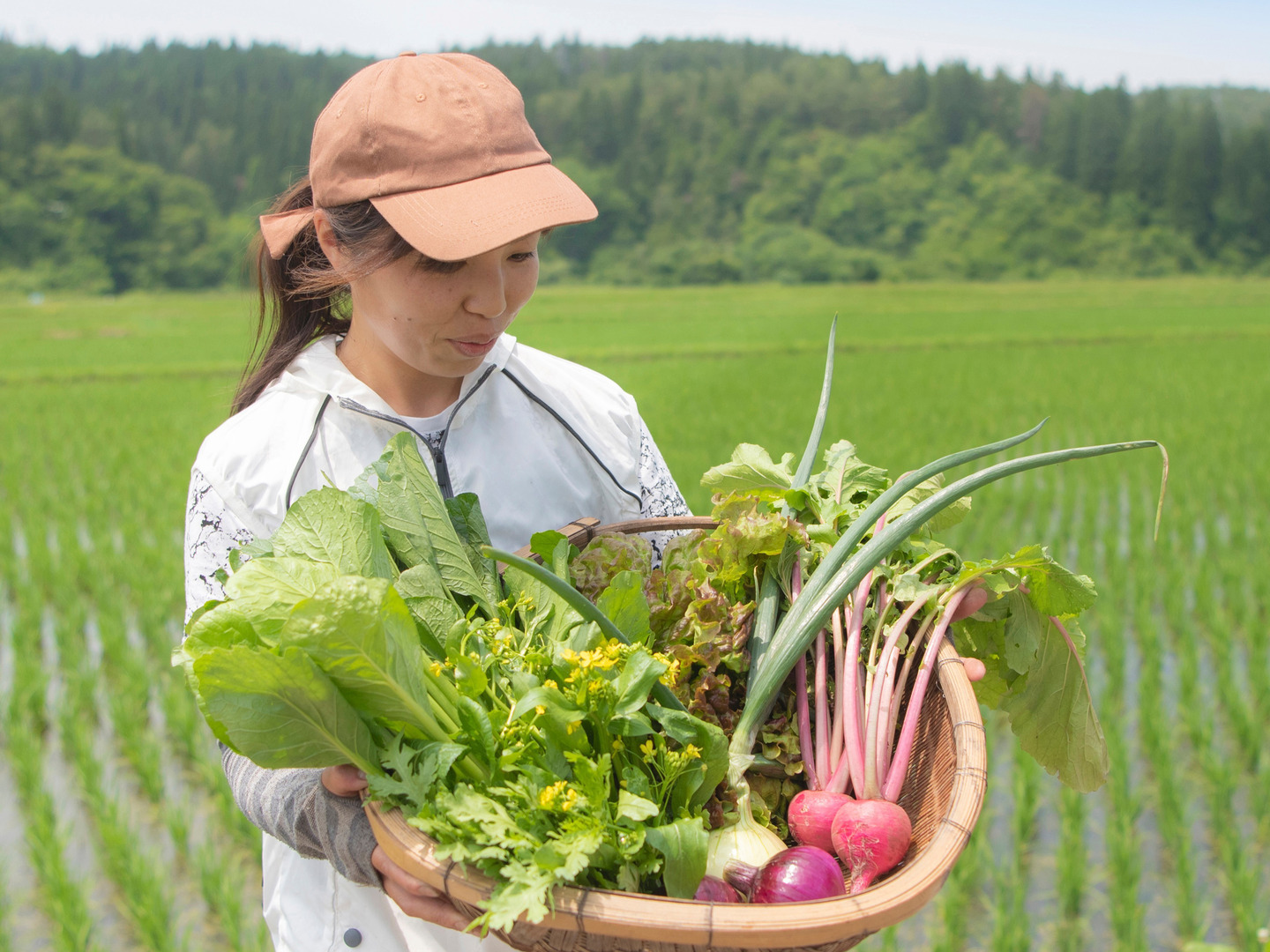 今が旬！野菜セット(7品目以上)：秋田県産の野菜セット｜食べ