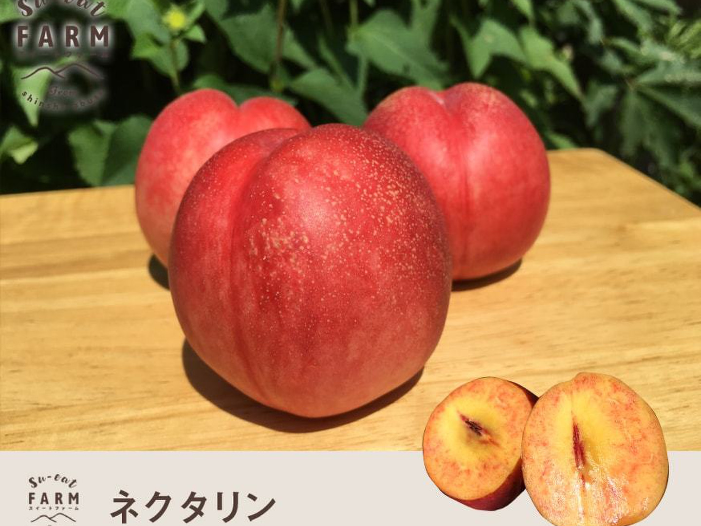 地域食材大百科〈第3巻〉果実・木の実、ハーブ | 農山漁村文化