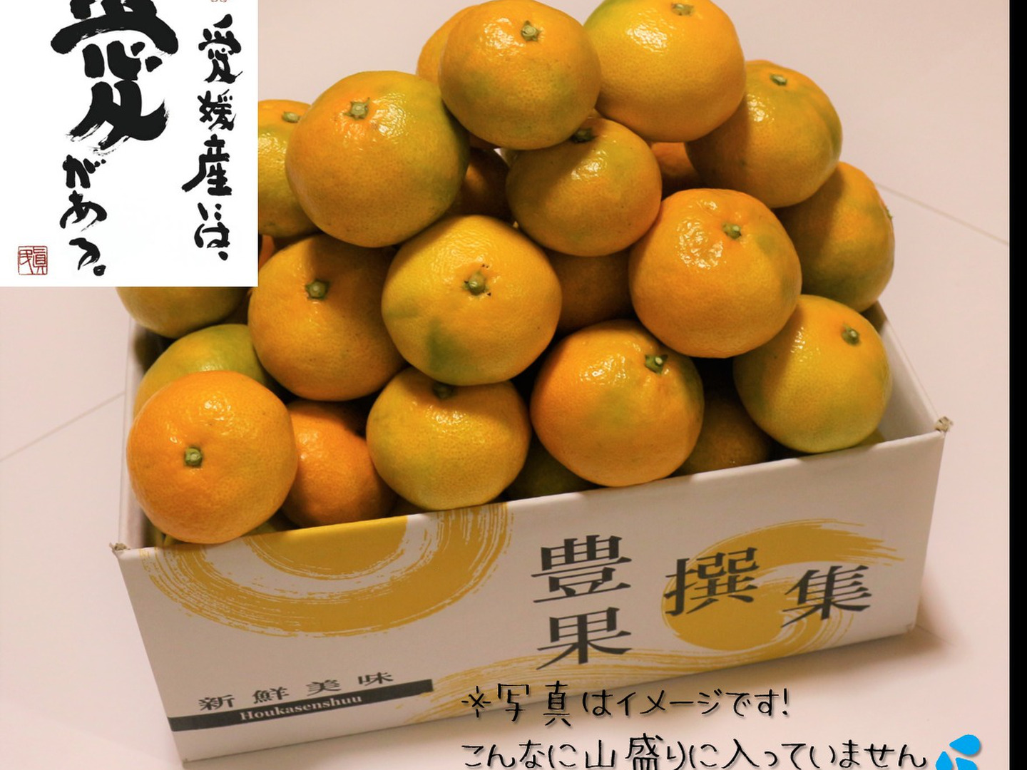 ねこさん専用　はれひめ4.5kg+土佐文旦6kgぐるりん 062026-ec2_grande.jpg?v=1632724135