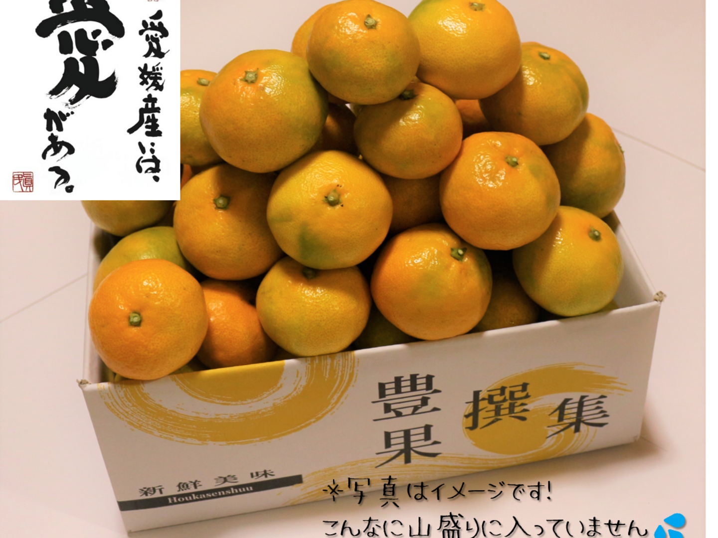 本物保証!  訳あり】愛媛県産 希少品種の“はれひめ” サイズ不揃い 5キロ 果物