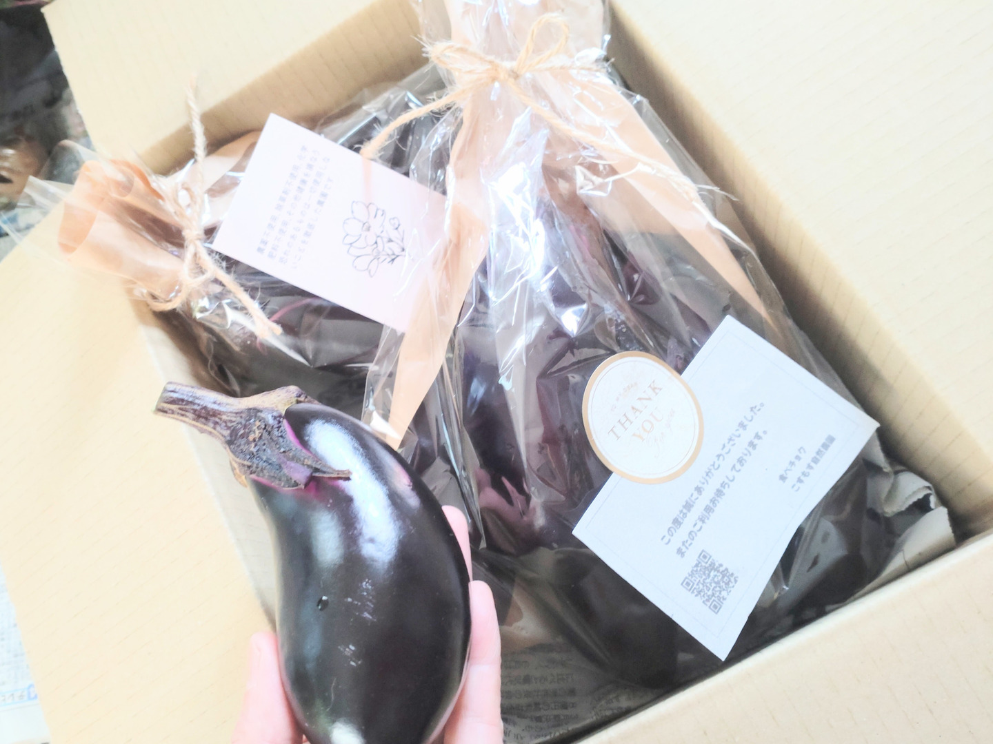 100サイズ 箱いっぱい 産地直送 農家直送 朝採り 新鮮 茄子 ナス