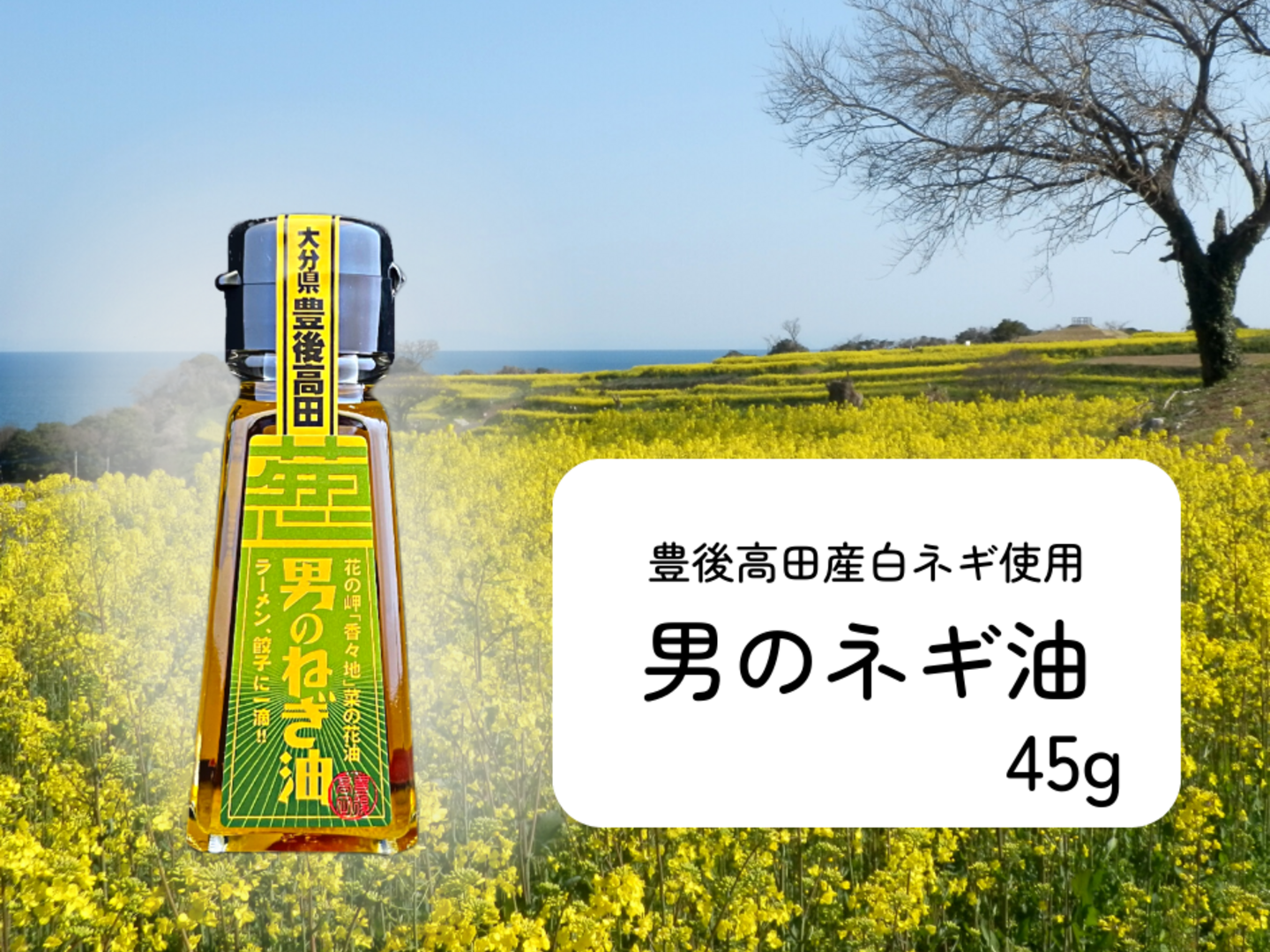 ねぎの風味際立つピリッと辛口「男のネギ油」：大分県産の調味料