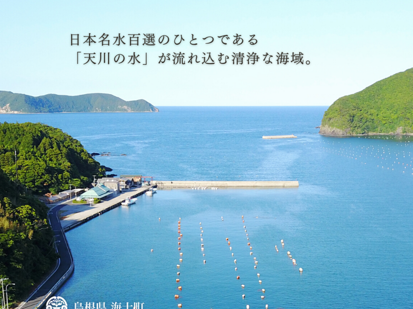 猿ヶ石叢書第三十八輯 第38輯 東和郷土研究会 カビ臭有 岩手県 和賀郡 東和町 花巻市 200024 猿ヶ石叢書第三十九輯 第39輯 東和郷土研究会 カビ臭有 岩手県